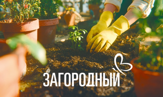 Загородный