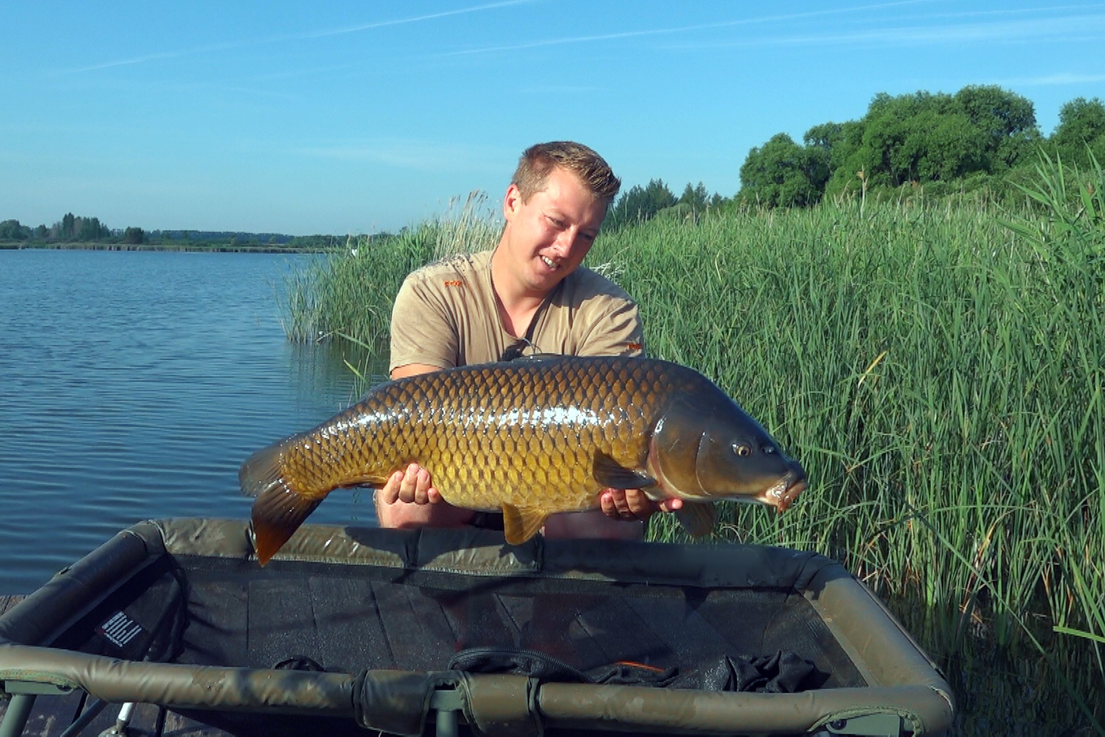 Трофеи Высокополья