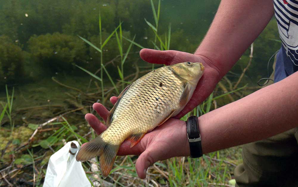 Рыбалка в горах Тянь-Шаня