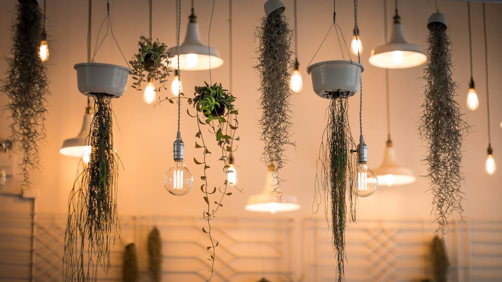 Идеи для дачи