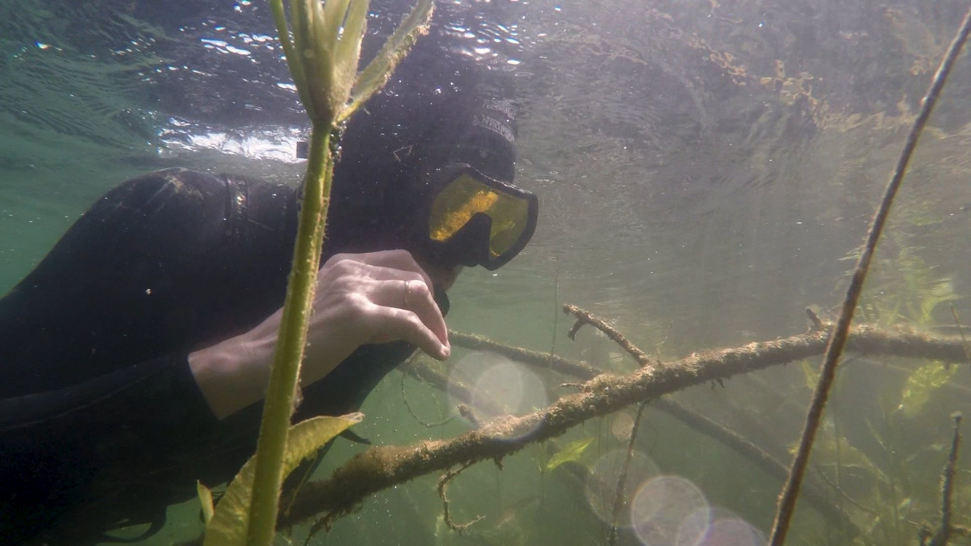 The Underwater World