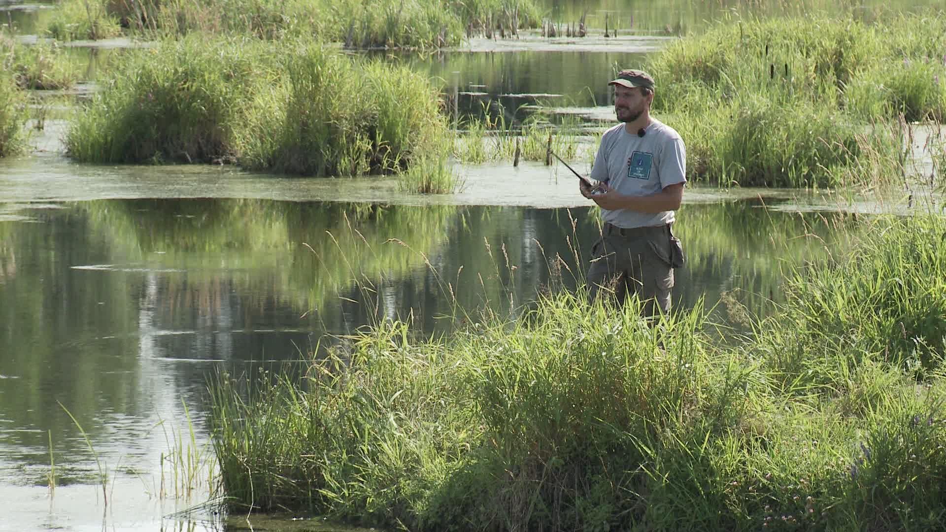 Fishing for Beginners