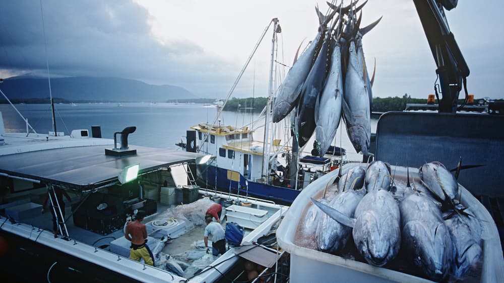 Fishing at the equator
