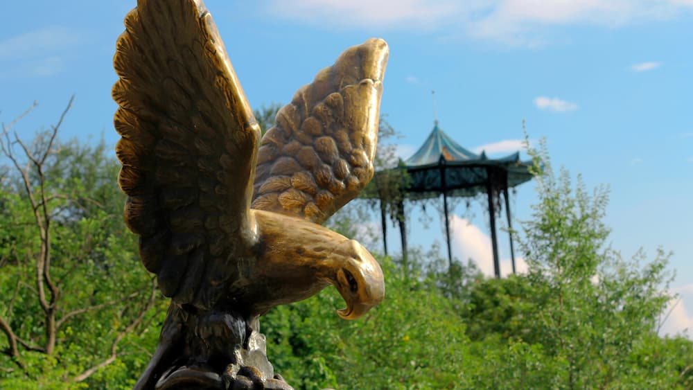 Grey Hair on Your Head