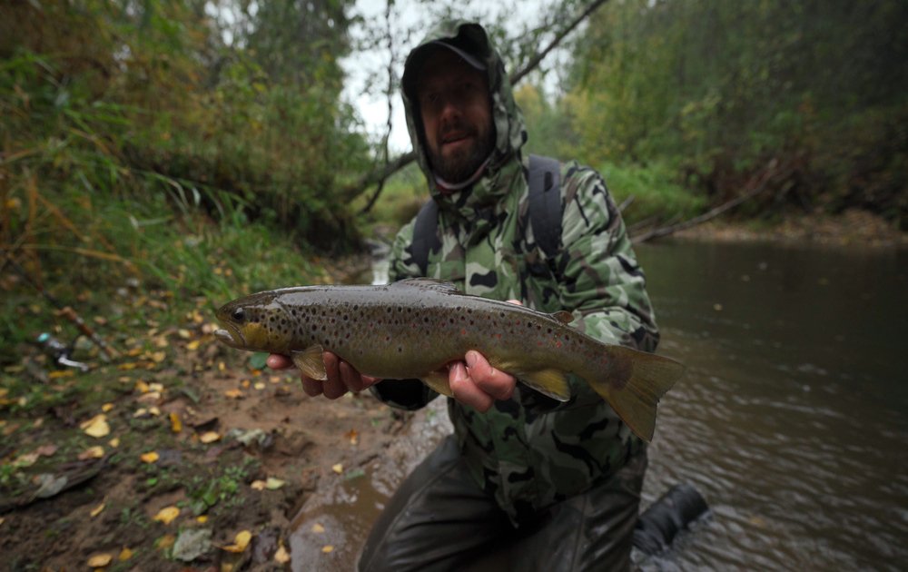 Дикий ручей. Сезон 2