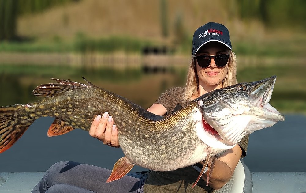 Все мы любим рыбалку