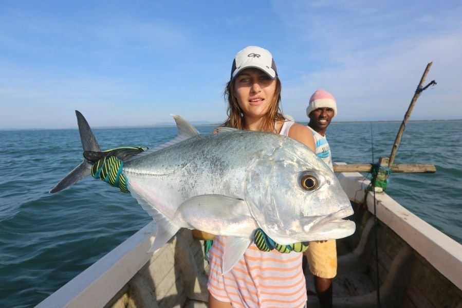 What Does Fish Like?