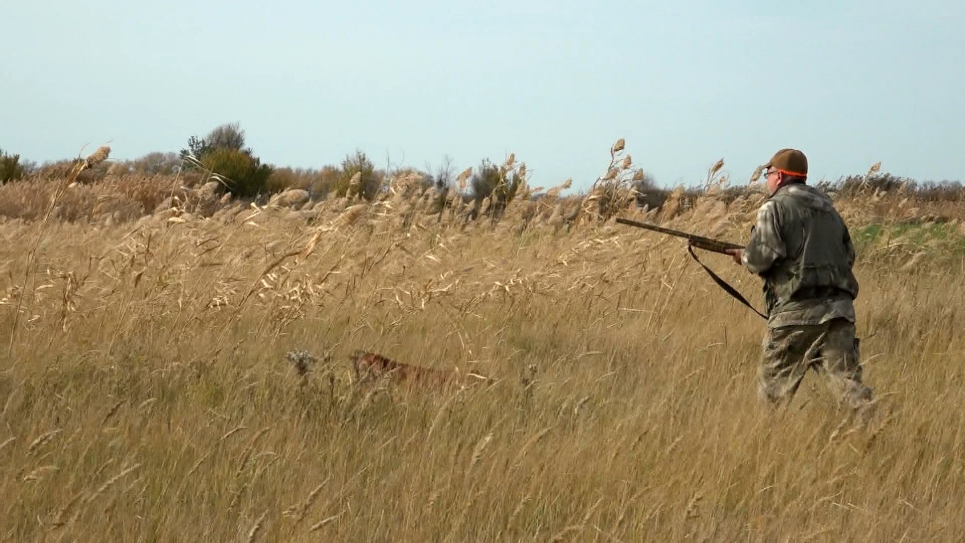 The Hunter's Diaries. Season 2