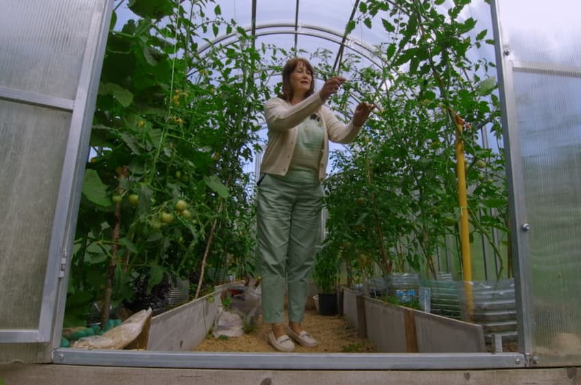 This Was Grown by Me!