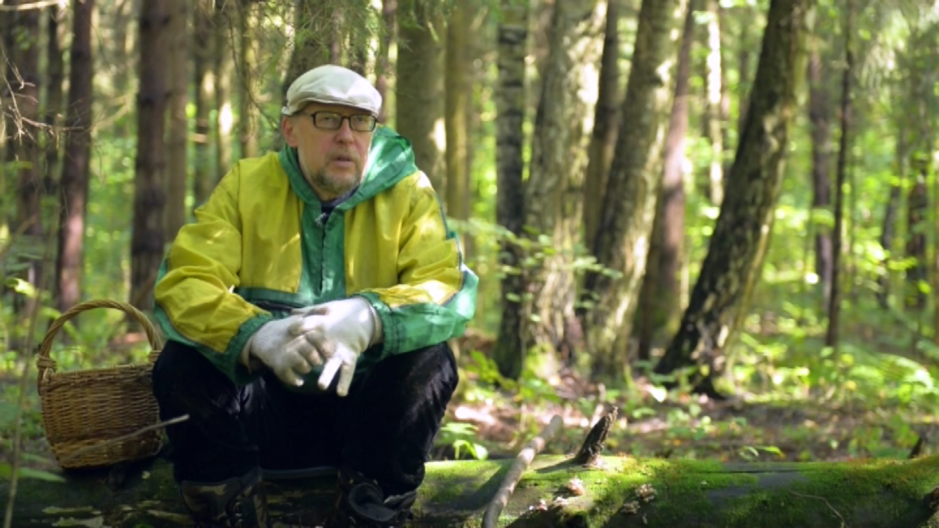 Грибной сезон