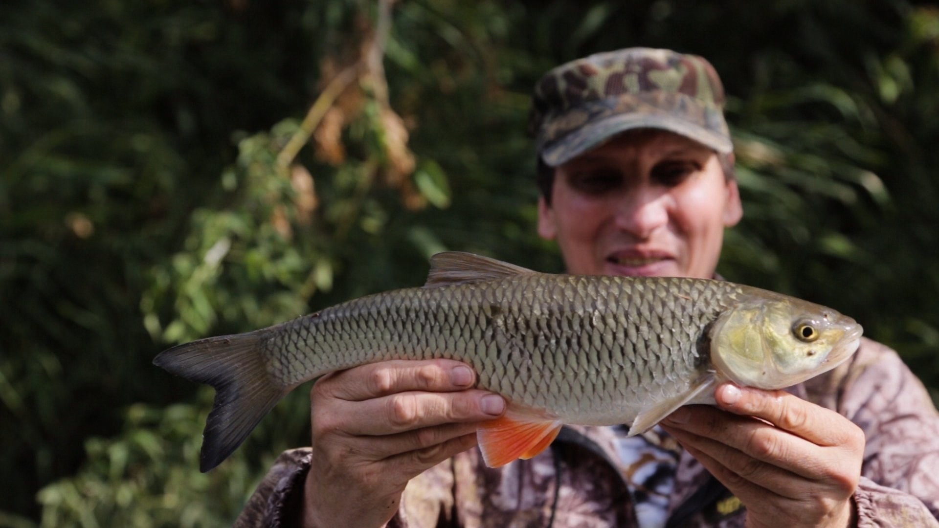 The Small Rivers of the Chernozem Region-2018
