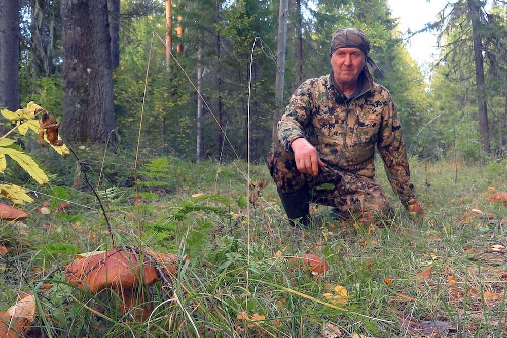 Moose Hunting During the Rut