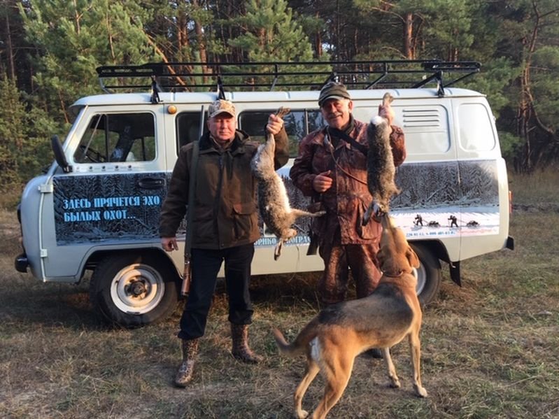 Охотничьи собаки. Сезон 1