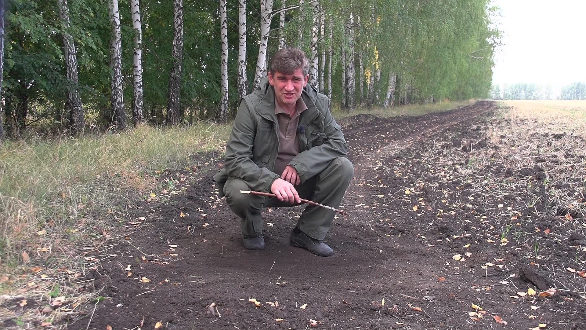 The Survival Lessons in the Wild