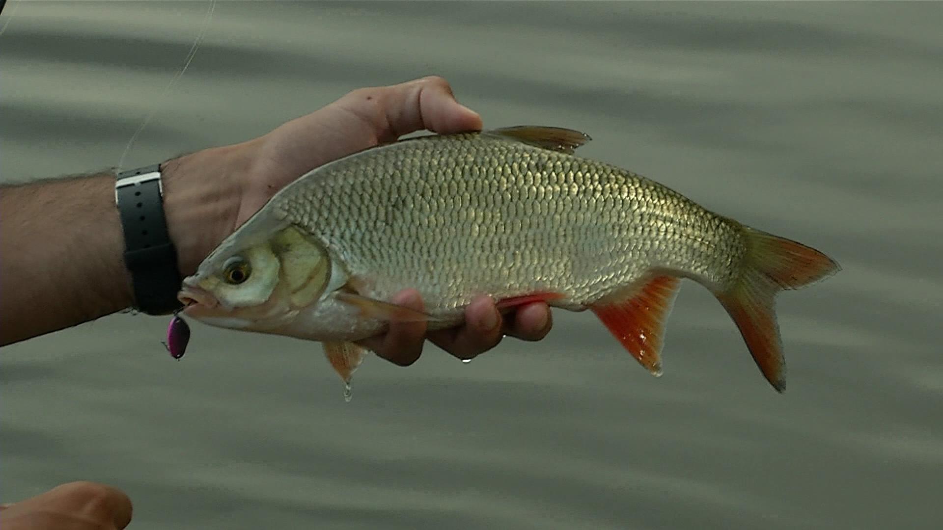 The Video Card of Excellent for Fishing Places. Season 6