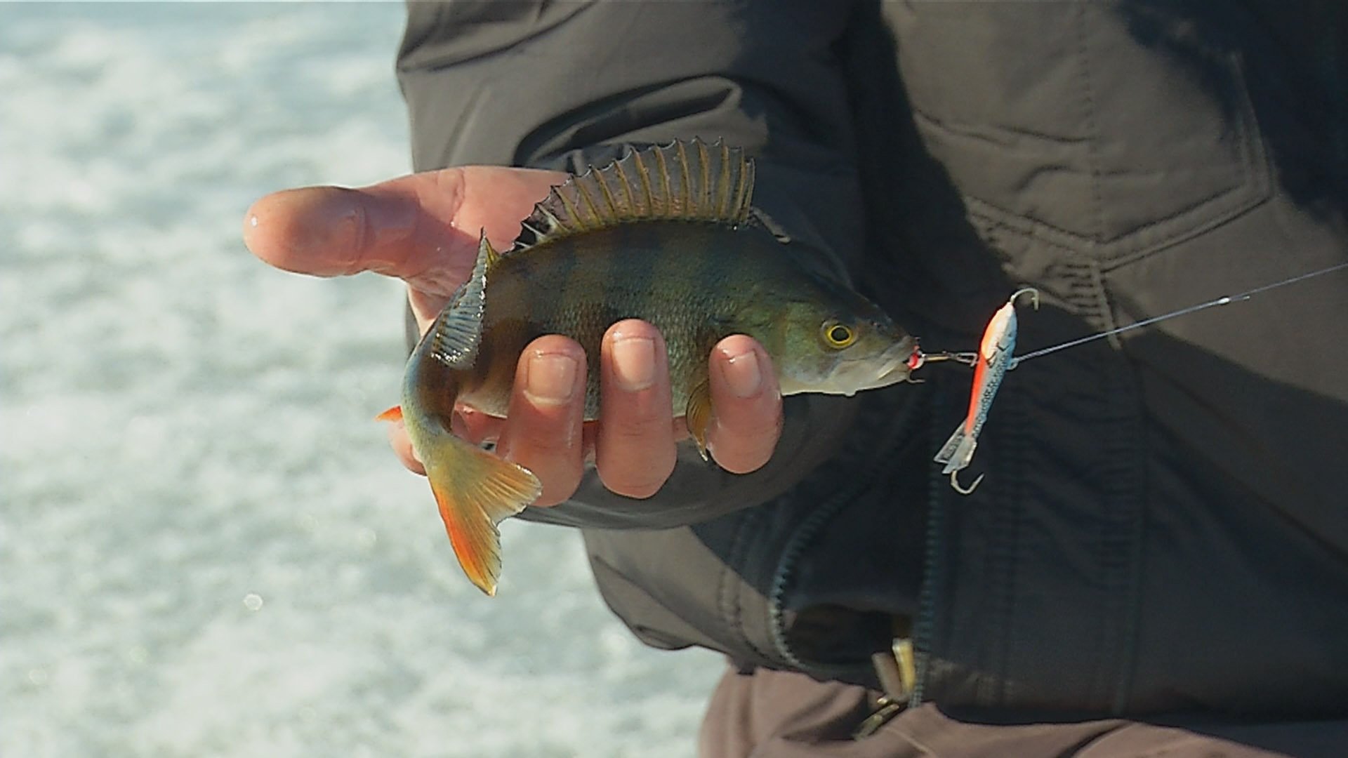 The Video Card of Excellent for Fishing Places. Season 4